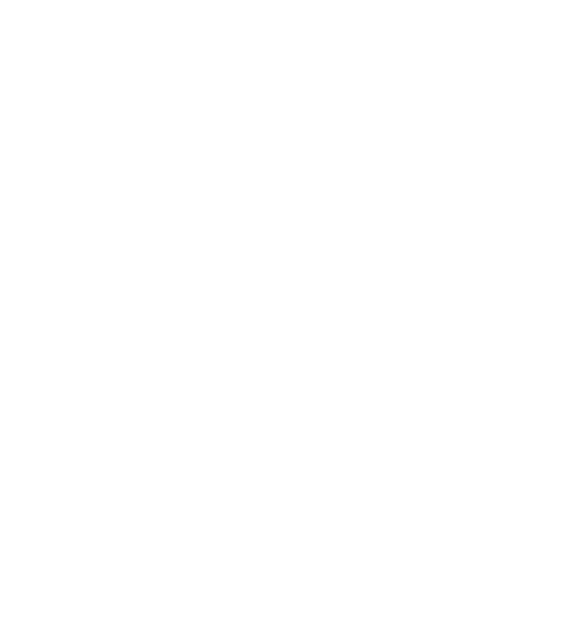 Birdy Fam